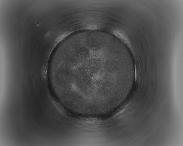 X0000087340483200704201148