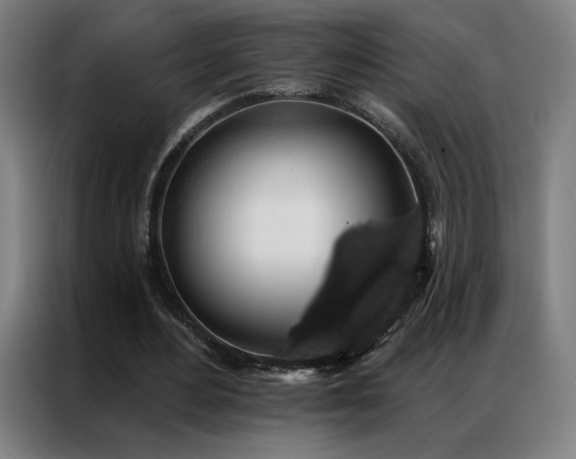 X0000087340484200704201148