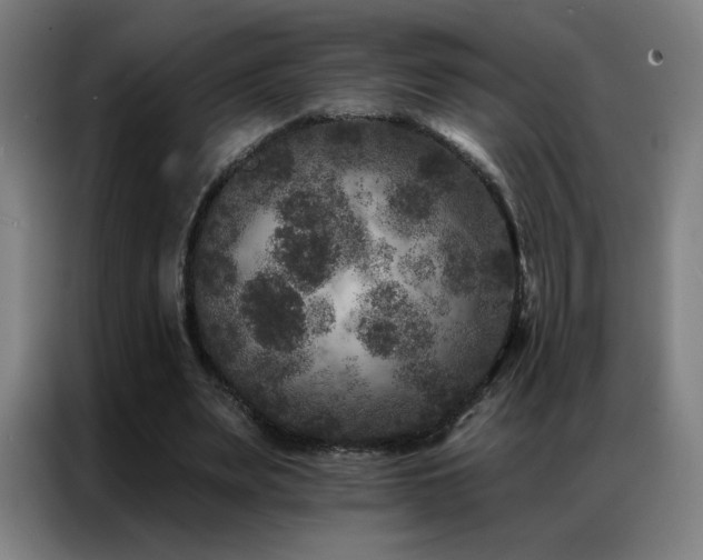 X0000087340487200704201148