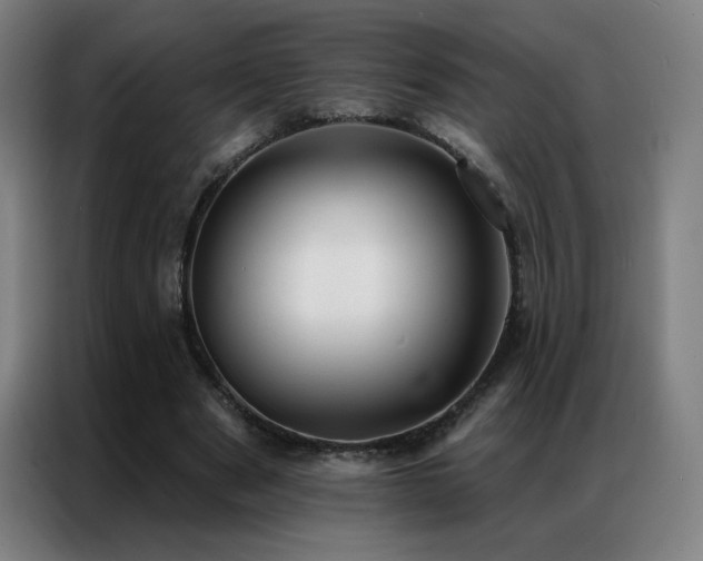 X0000087340489200704201148