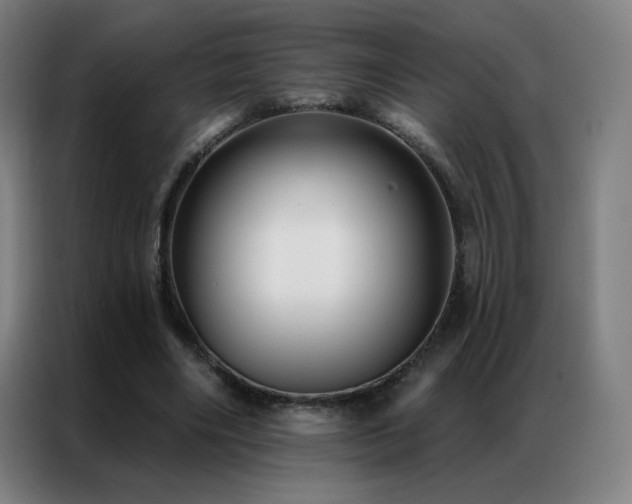 X0000087340490200704201148