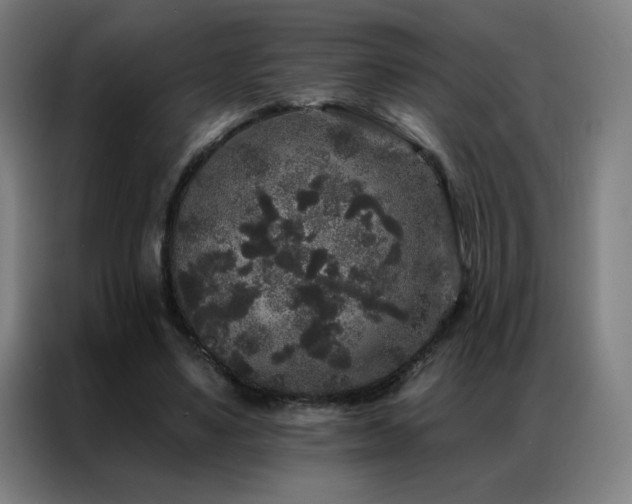 X0000087340491200704201148