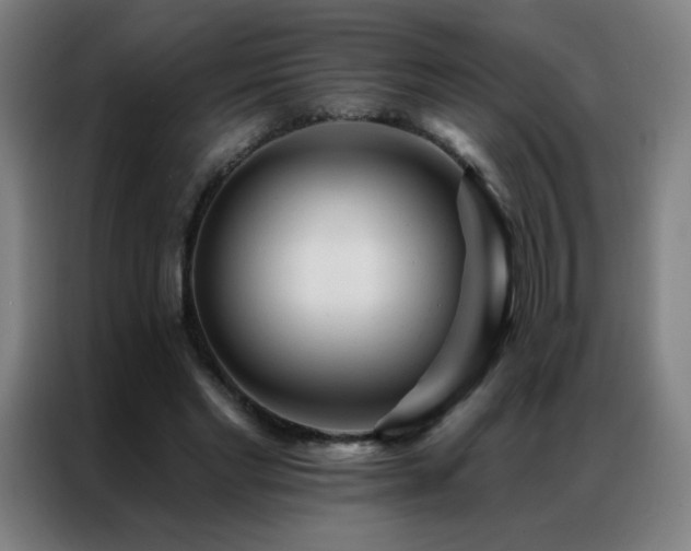 X0000087340493200704201148