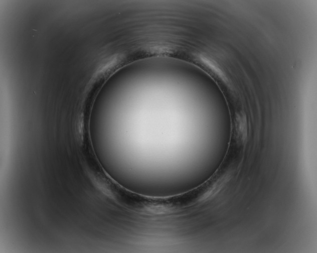 X0000087340494200704201148