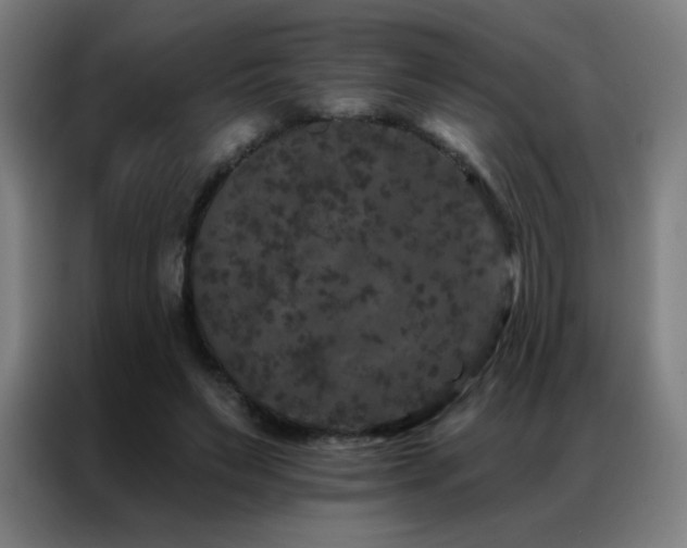 X0000087340495200704201148