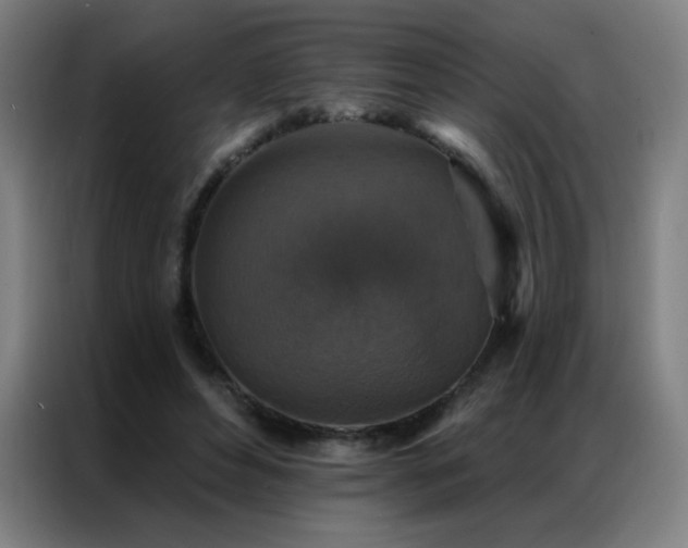 X0000087340496200704201148