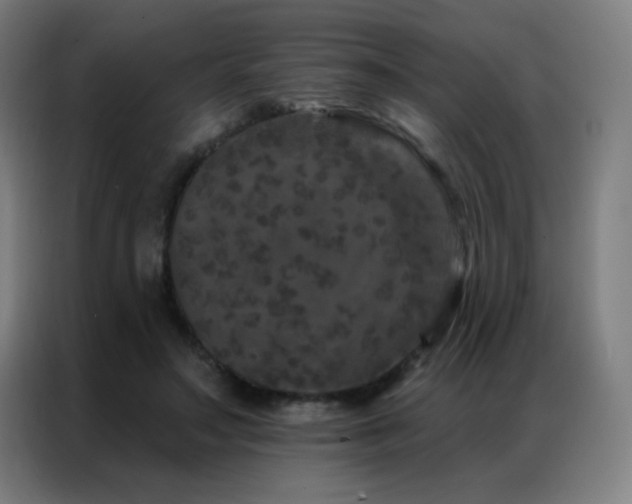 X0000087340499200704201148