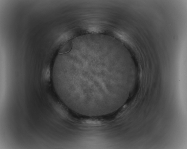 X0000087340502200704201148