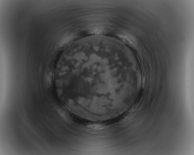 X0000087340503200704201148