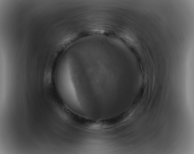 X0000087340504200704201148