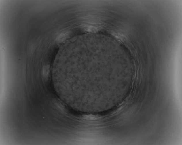 X0000087340511200704201148