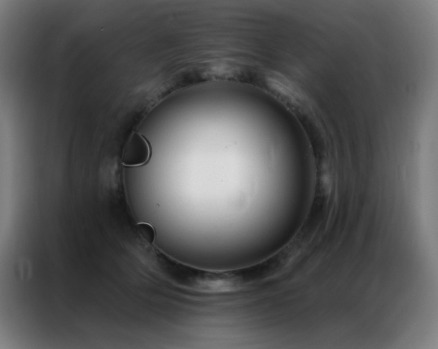 X0000087340514200704201148