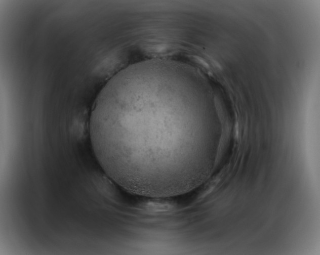 X0000087340515200704201148