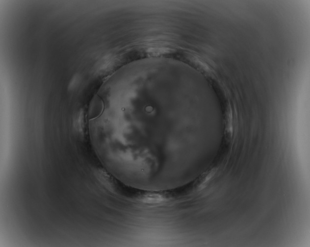 X0000087340519200704201148