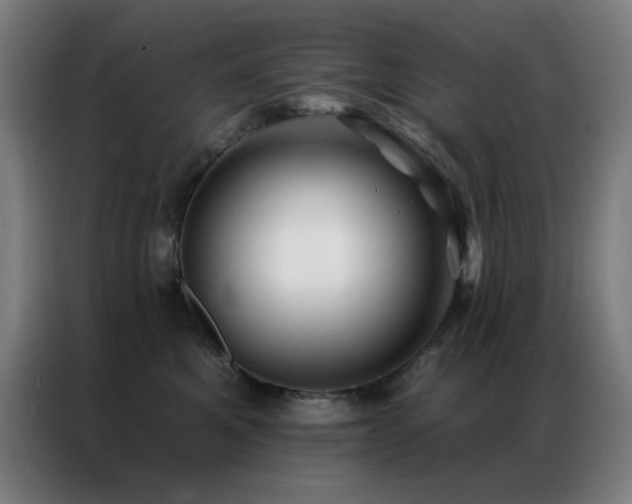 X0000087340521200704201147
