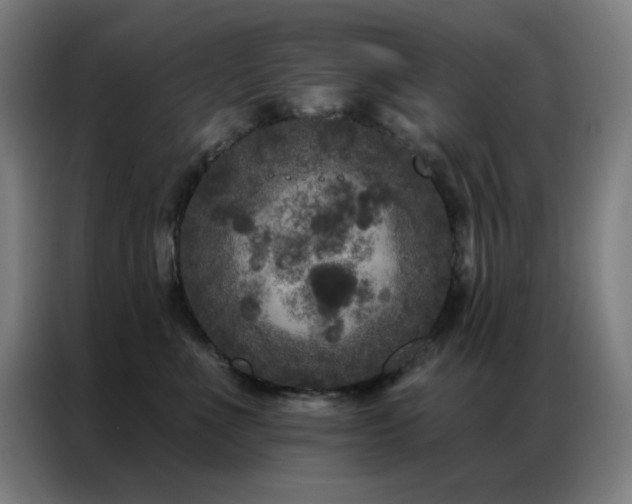 X0000087340523200704201147