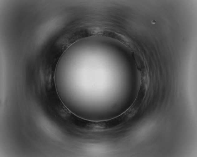 X0000087340525200704201147