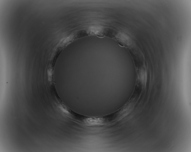 X0000087340526200704201147