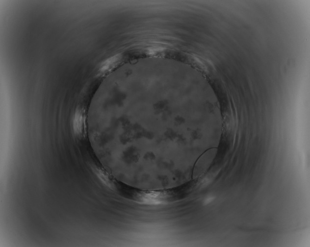 X0000087340527200704201147