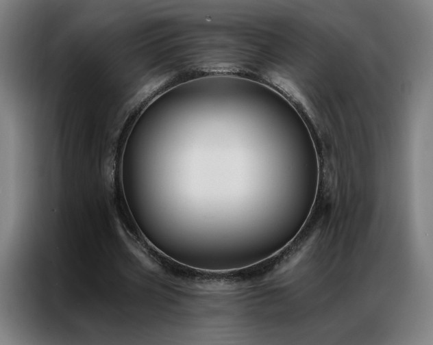 X0000087340533200704201147