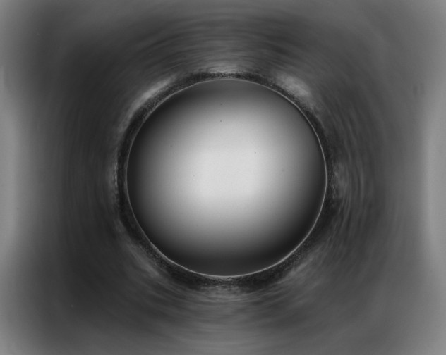 X0000087340535200704201147
