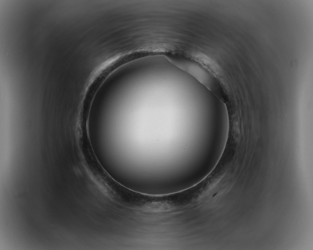 X0000087340536200704201147