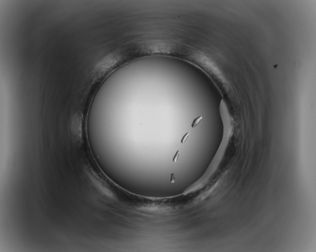 X0000087340537200704201147