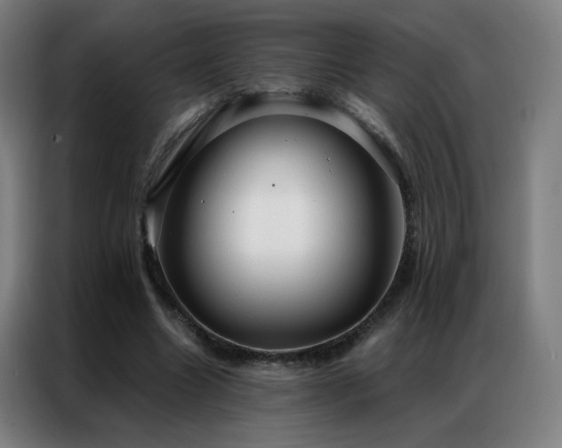 X0000087340538200704201147