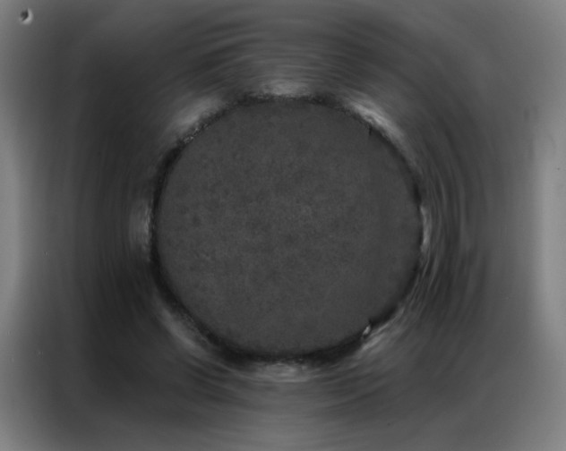 X0000087340542200704201147