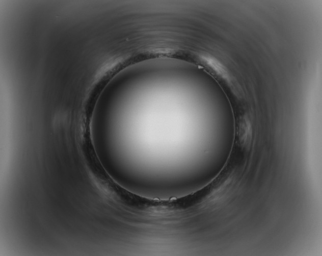 X0000087340544200704201147