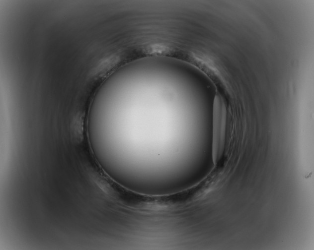 X0000087340545200704201147