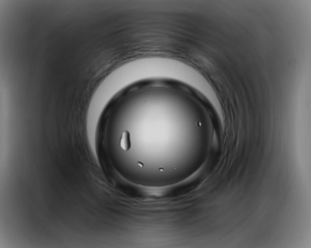 X0000087340556200704201147