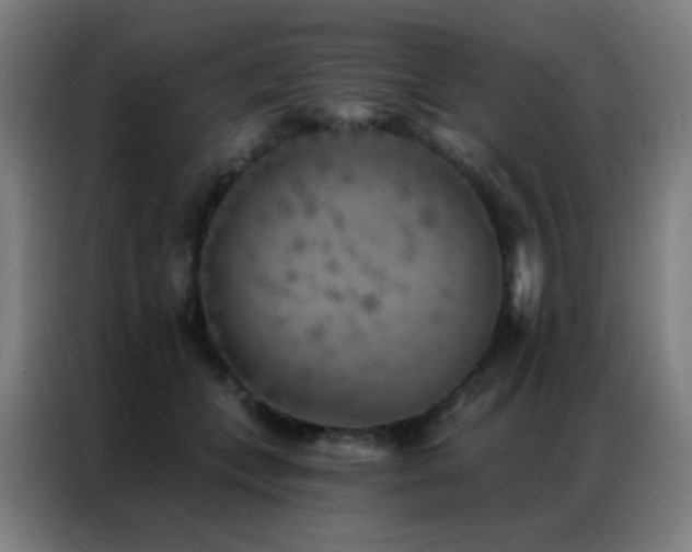 X0000087340559200704201147