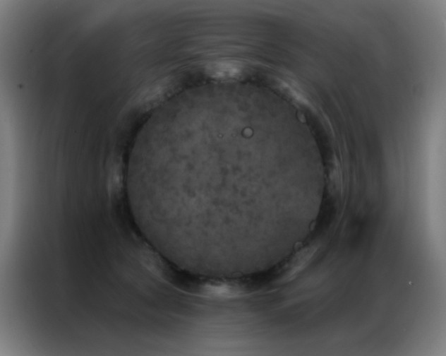 X0000087340561200704201147