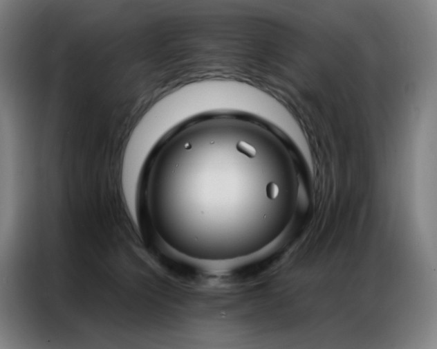 X0000087340564200704201147