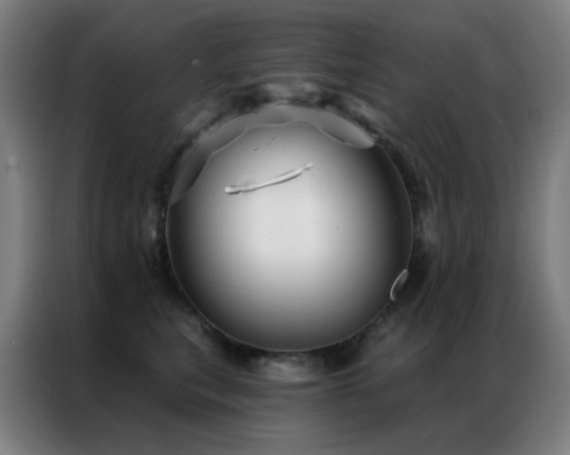 X0000087340567200704201147