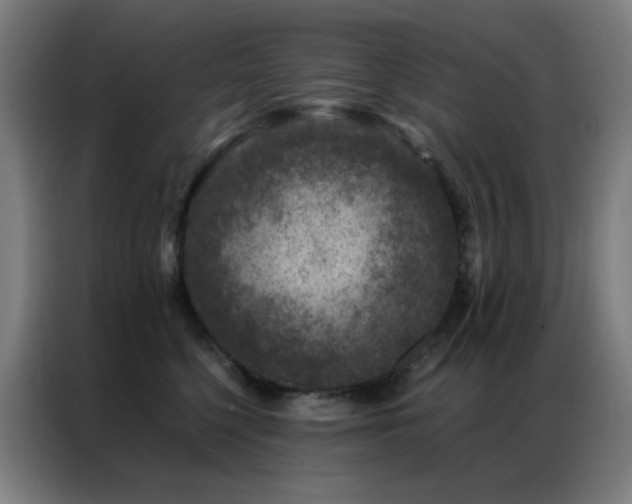 X0000087340568200704201147