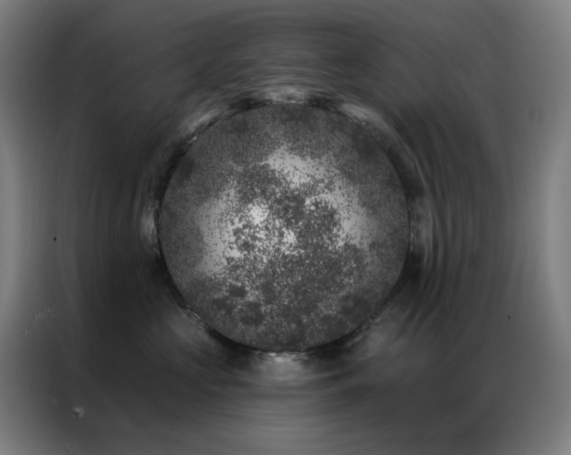 X0000087340573200704201147