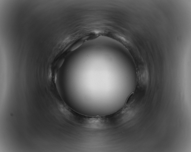X0000087340574200704201147