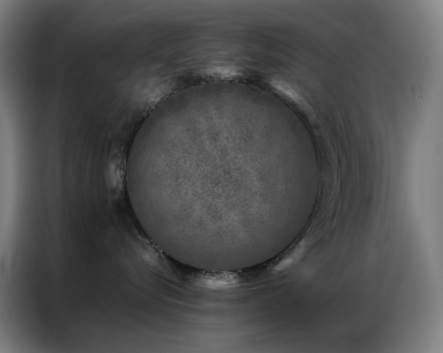 X0000087340576200704201147