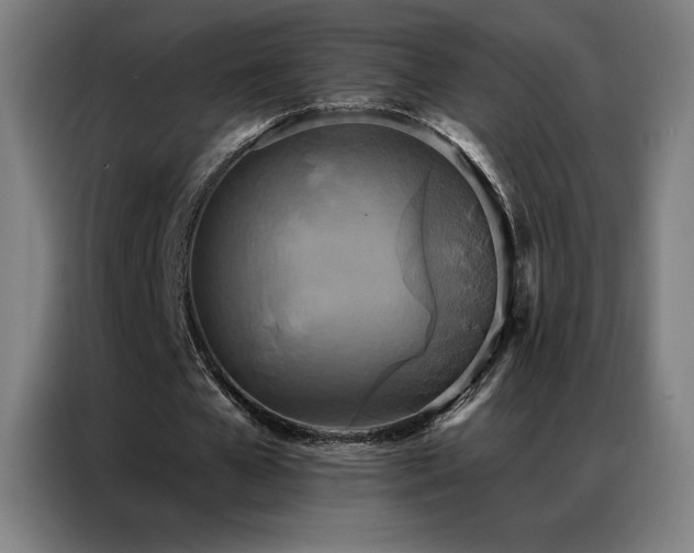 X0000087340577200704201147