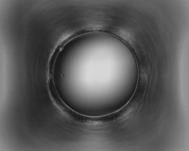 X0000087340582200704201147