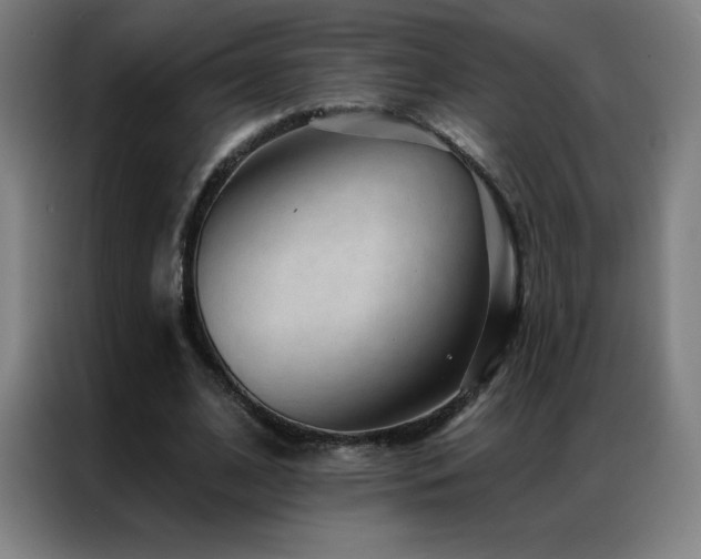 X0000087340584200704201147
