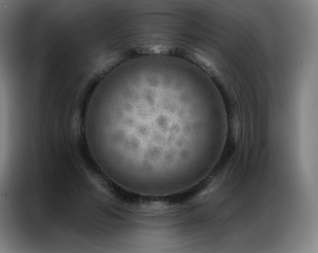 X0000087340594200704201147