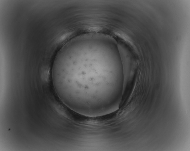X0000087340596200704201147