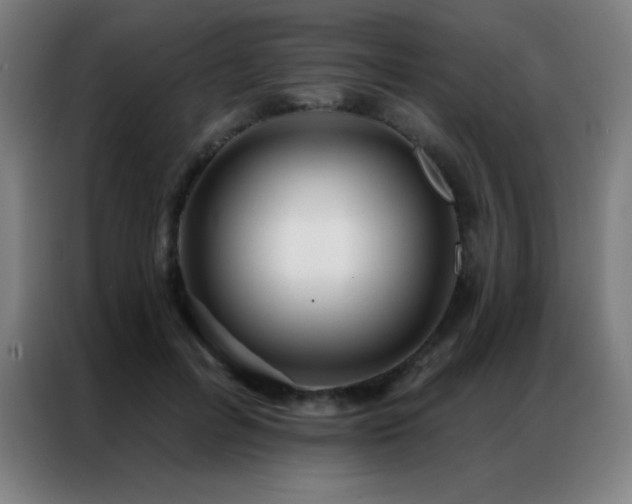 X0000087340600200704201147