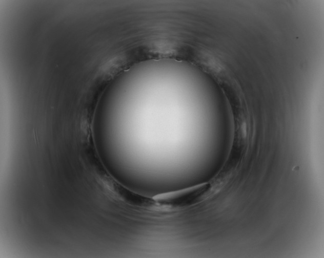 X0000087340609200704201146