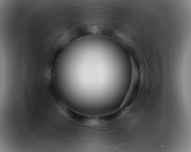 X0000087340611200704201146