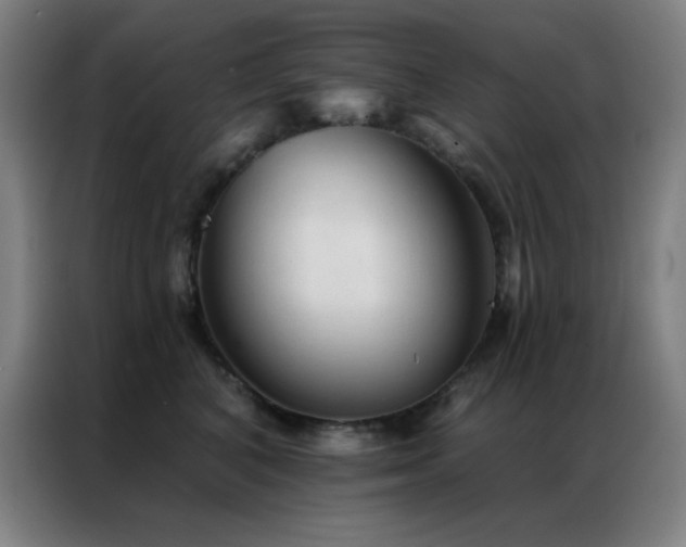 X0000087340616200704201146