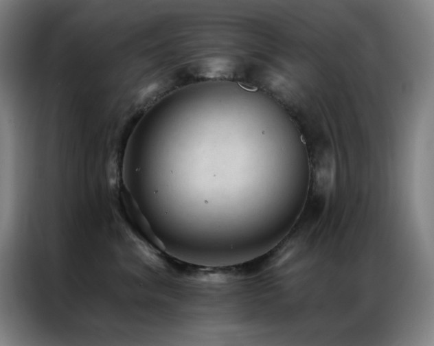 X0000087340620200704201146